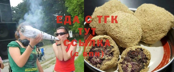 индика Кулебаки