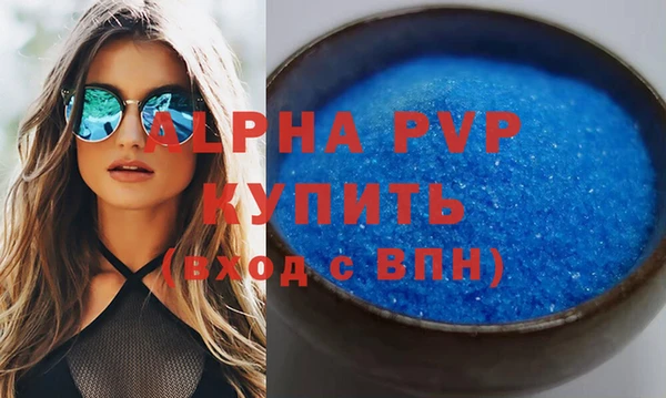 индика Кулебаки