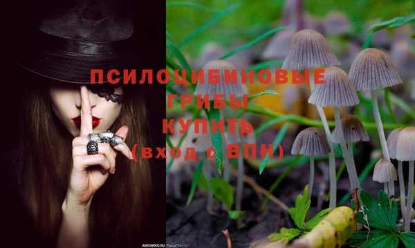 COCAINE Козельск