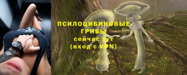 COCAINE Козельск