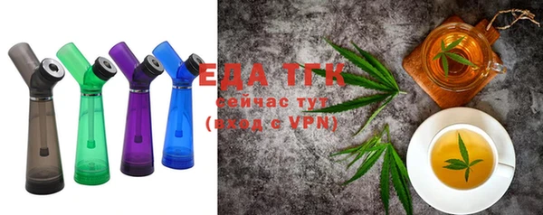 индика Кулебаки