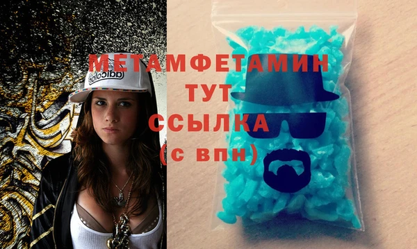 индика Кулебаки