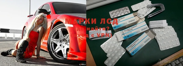 индика Кулебаки