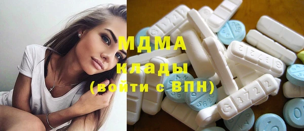 индика Кулебаки