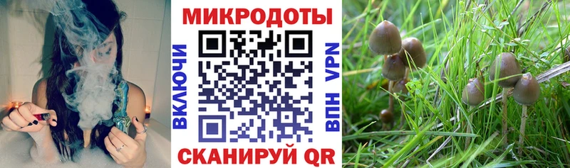 Купить закладки  Дивногорск  Галлюциногенные грибы Psilocybine cubensis 